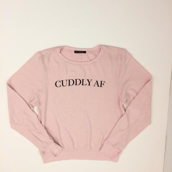 Wildfox Tops - Wildfox Couture Sommer's Sweater CUDDLY AF small